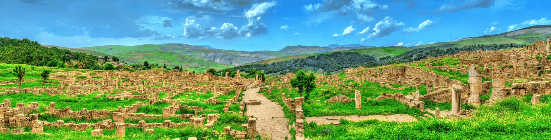 Argelia & Tun�sia Premium